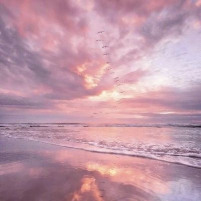 BOB·体育综合(综合)APP下载安装